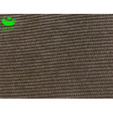 Polyester Fabric of Corduroy (BS8113)